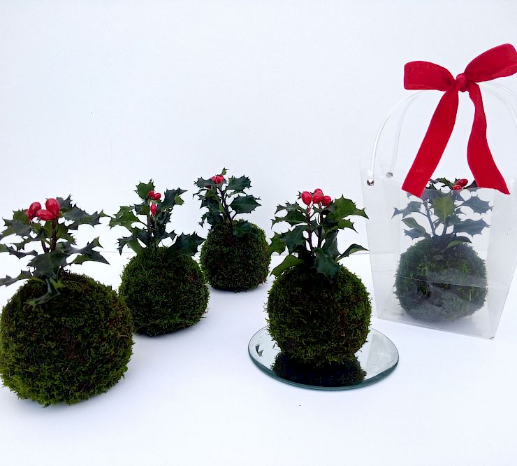 Gallery Kokedama Natalizie - kokedama-natalizie.jpg